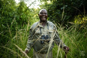zambia south luangwa walking safari time and tide guide