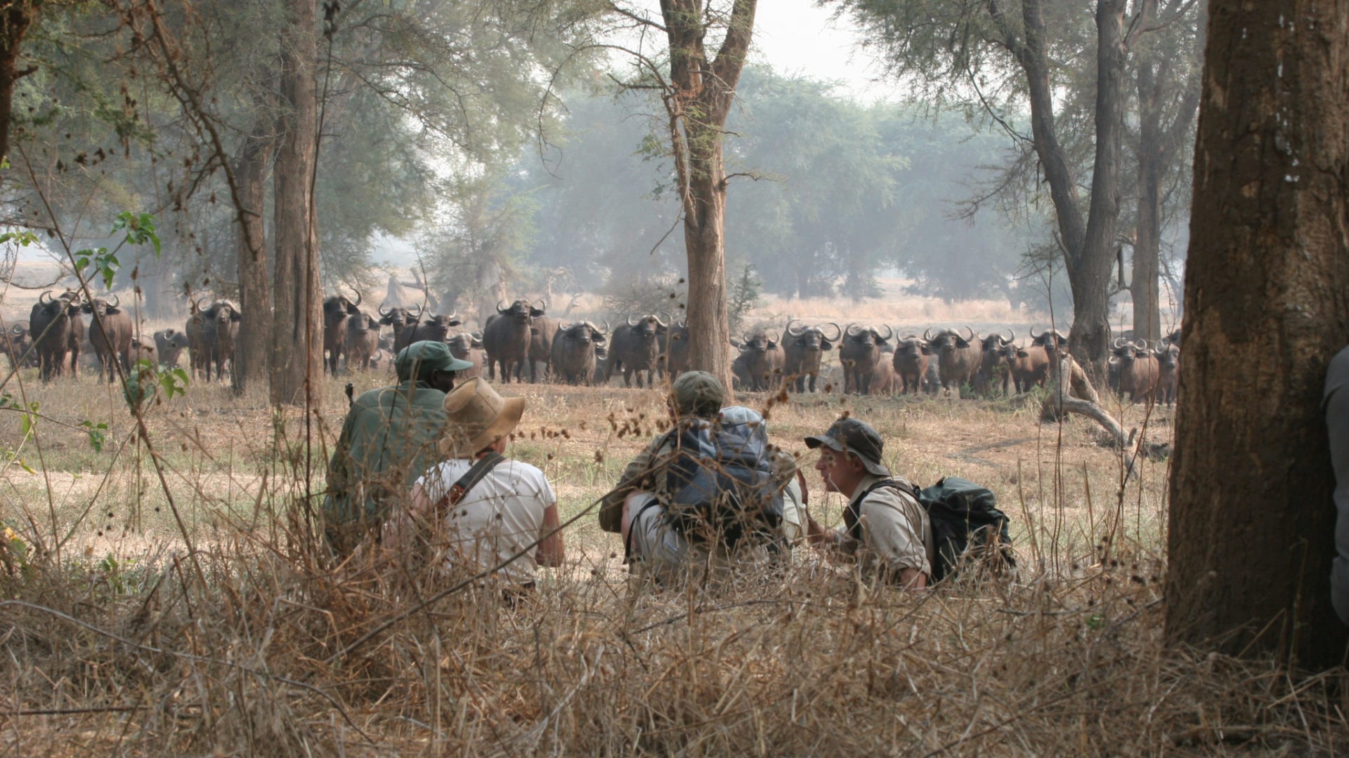 zimbabwe hwange walking safari on foot