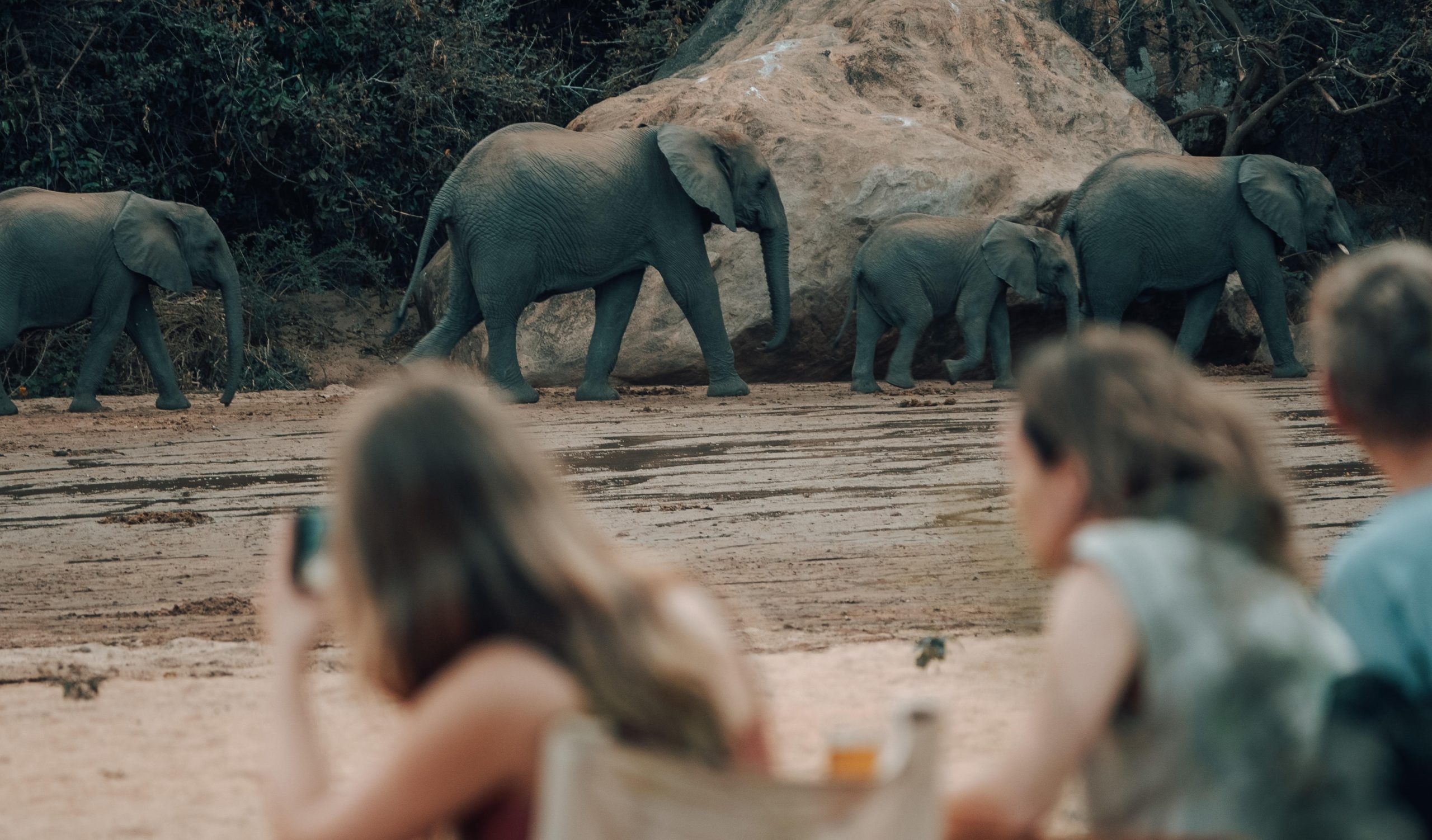 Tanzania Manyara Green Camp (17)
