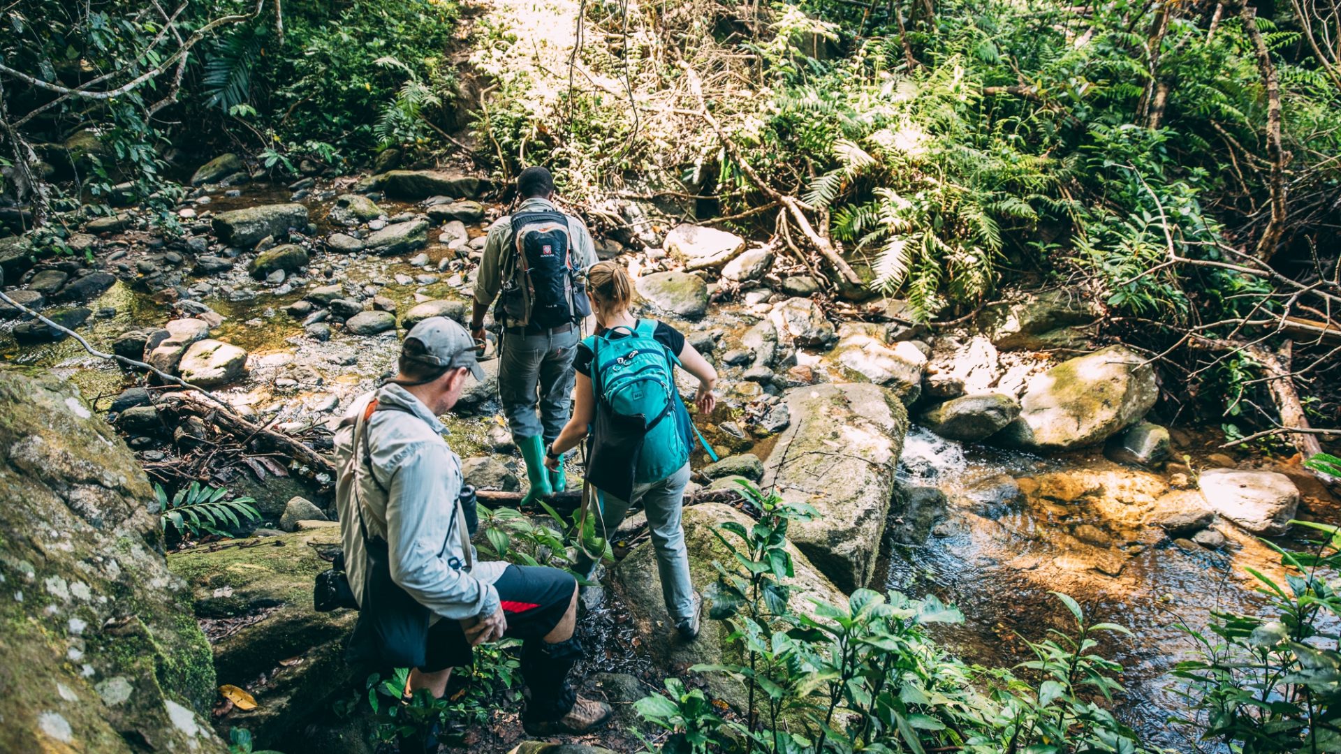 greystoke mahale trekking