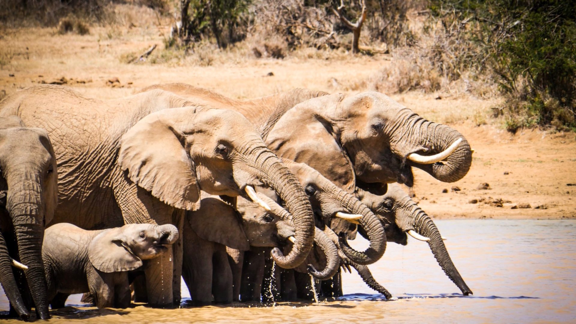 7Laikipia Kenya