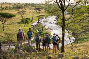 Safari Frank Serengeti Walking Camp Wayo Tanzania37