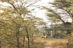 Kicheche Bush Camp Masai Mara