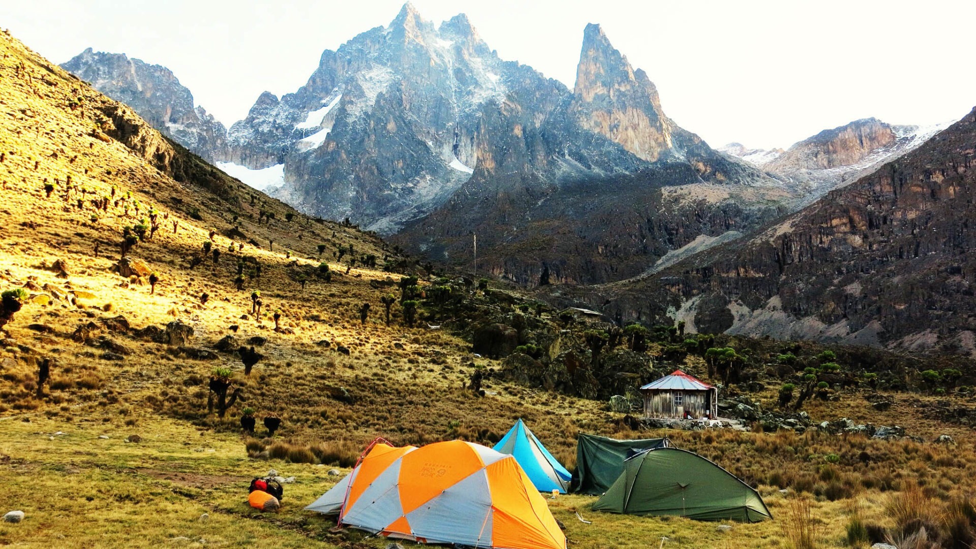 Camp site Teleki 1 of 1