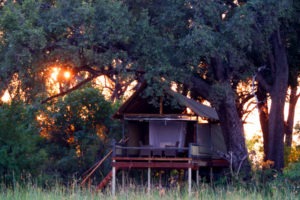 Mokolowane Treehouse