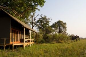 Okavango Delta Accommodation