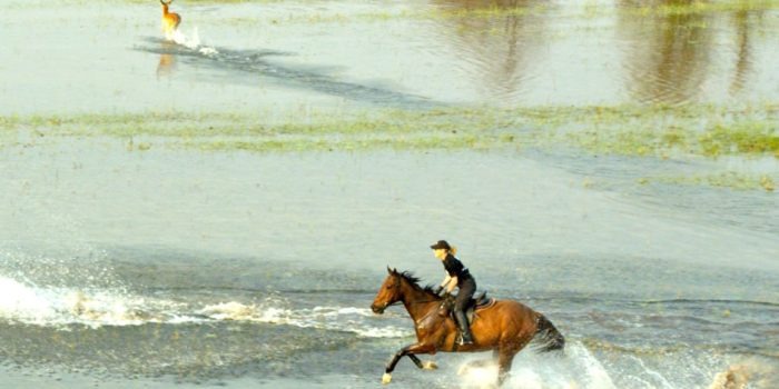 Okavango Delta Canter in Water