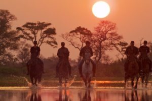 Okavango Delta Ride Sunset