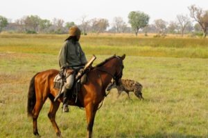 Okavango Delta Rider