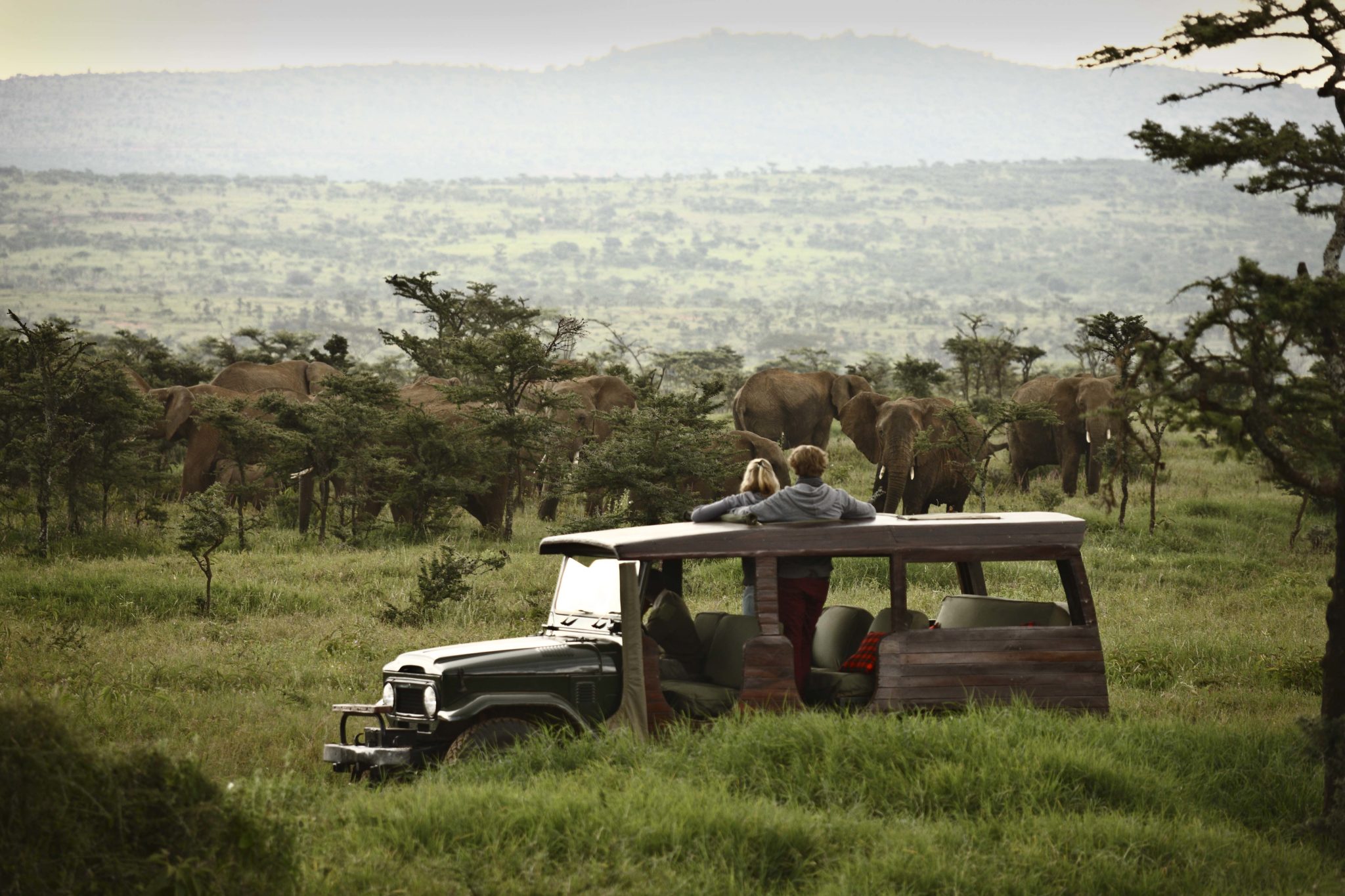 wildlife104 Enasoit Laikipia Kenya