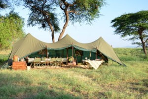Natron Flamingo Ride dining tent