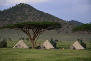 Natron Flamingo Ride tent