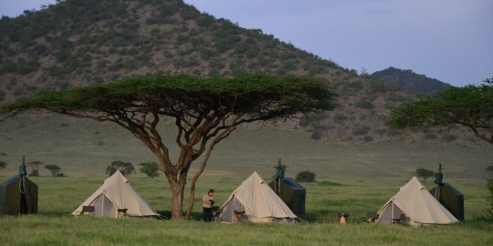 Natron Flamingo Ride tent