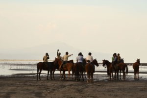 Natron Flamingo Ride view