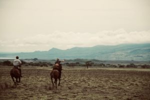 Natron Galopp