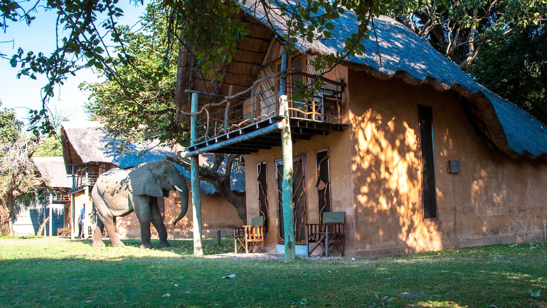 elephant tracks and trail river camp