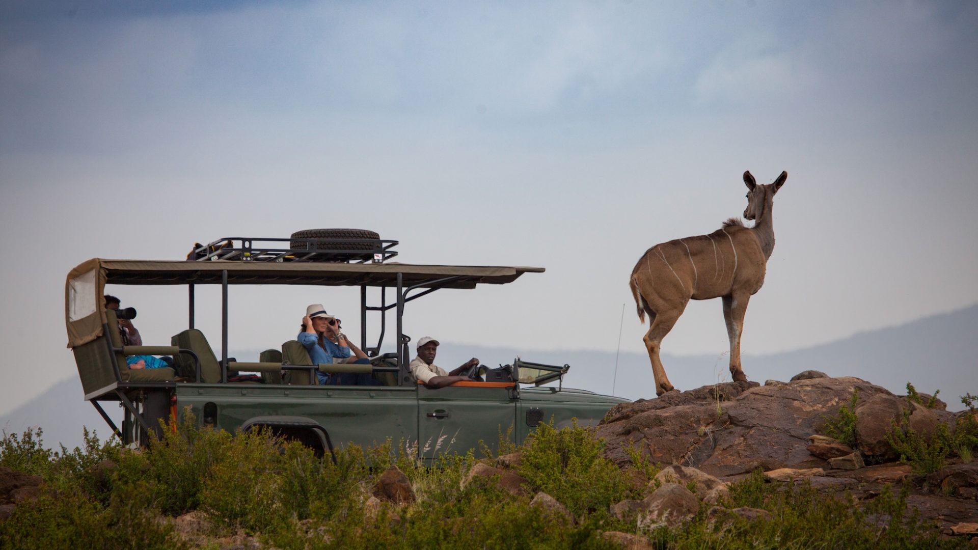 Loisaba Game Drives c Silverless