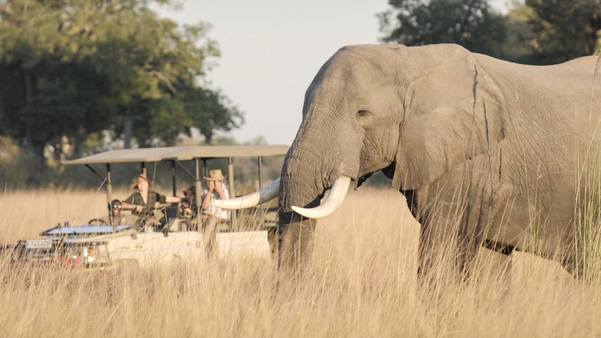 Xugana Island Lodge Game Drive 37