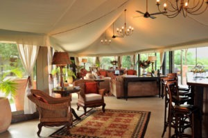 zimbabwe victoria falls the elephant camp main