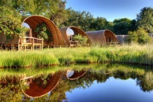 botswana okavango delta moremi okuti camp rooms