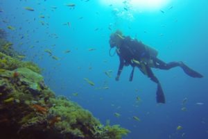 Tanzania Fanjove Island Diving 3