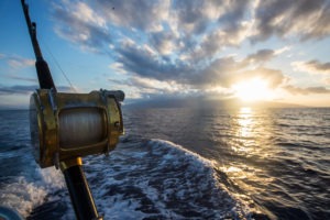 Tanzania Fanjove Island Fishing image stock