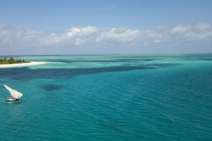 Tanzania Fanjove Island dhow island