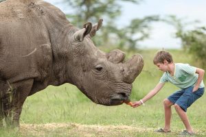 ol pejeta bush camp2
