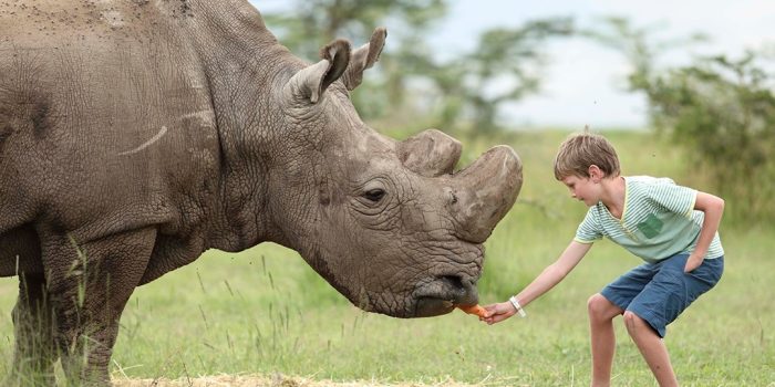 ol pejeta bush camp2
