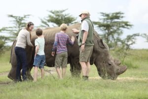 opbc petting rhino1