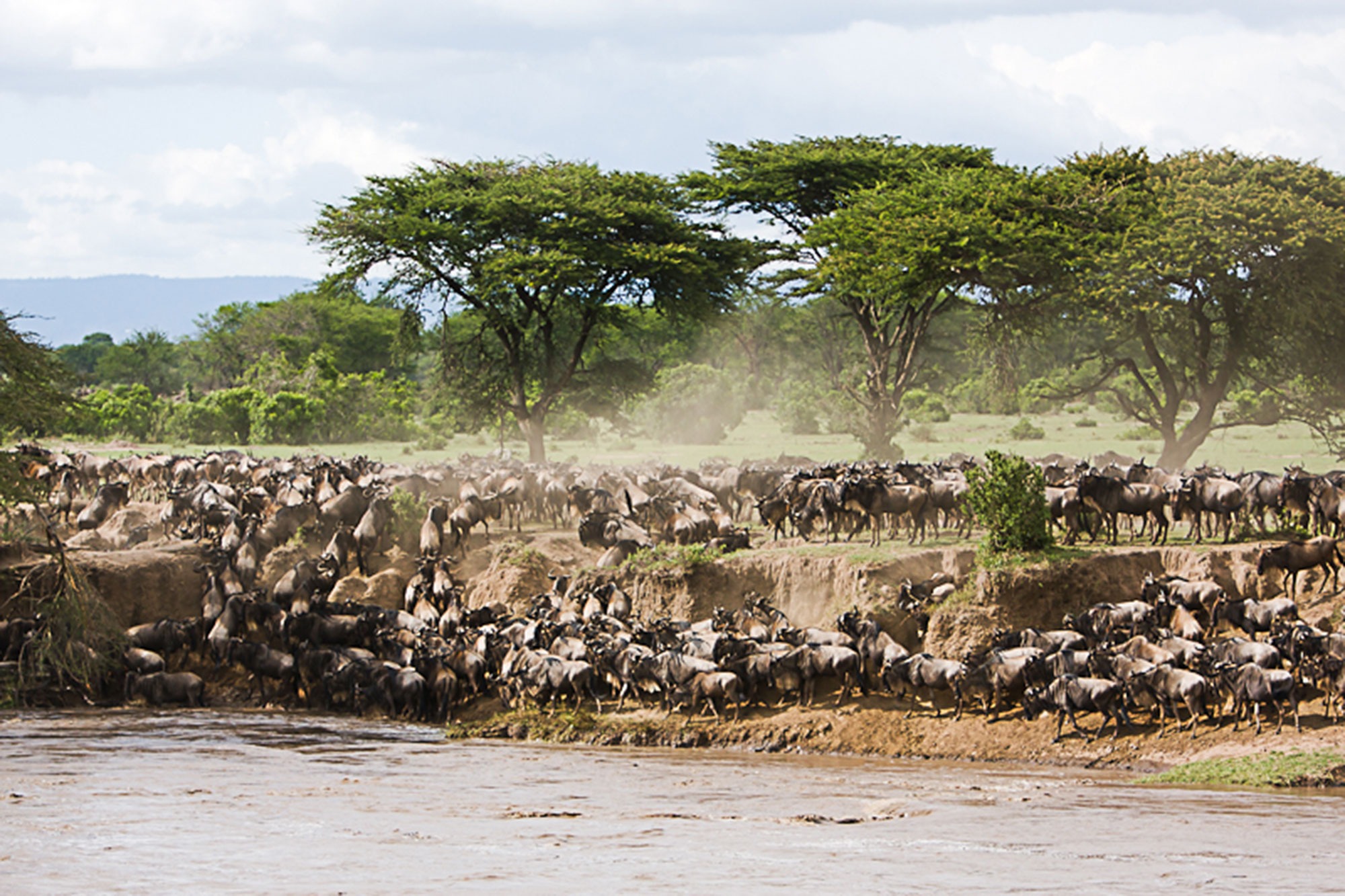 Legendary Serengeti Mobile Camp migration water break Legendary Serengeti Mobile Camp migration water break