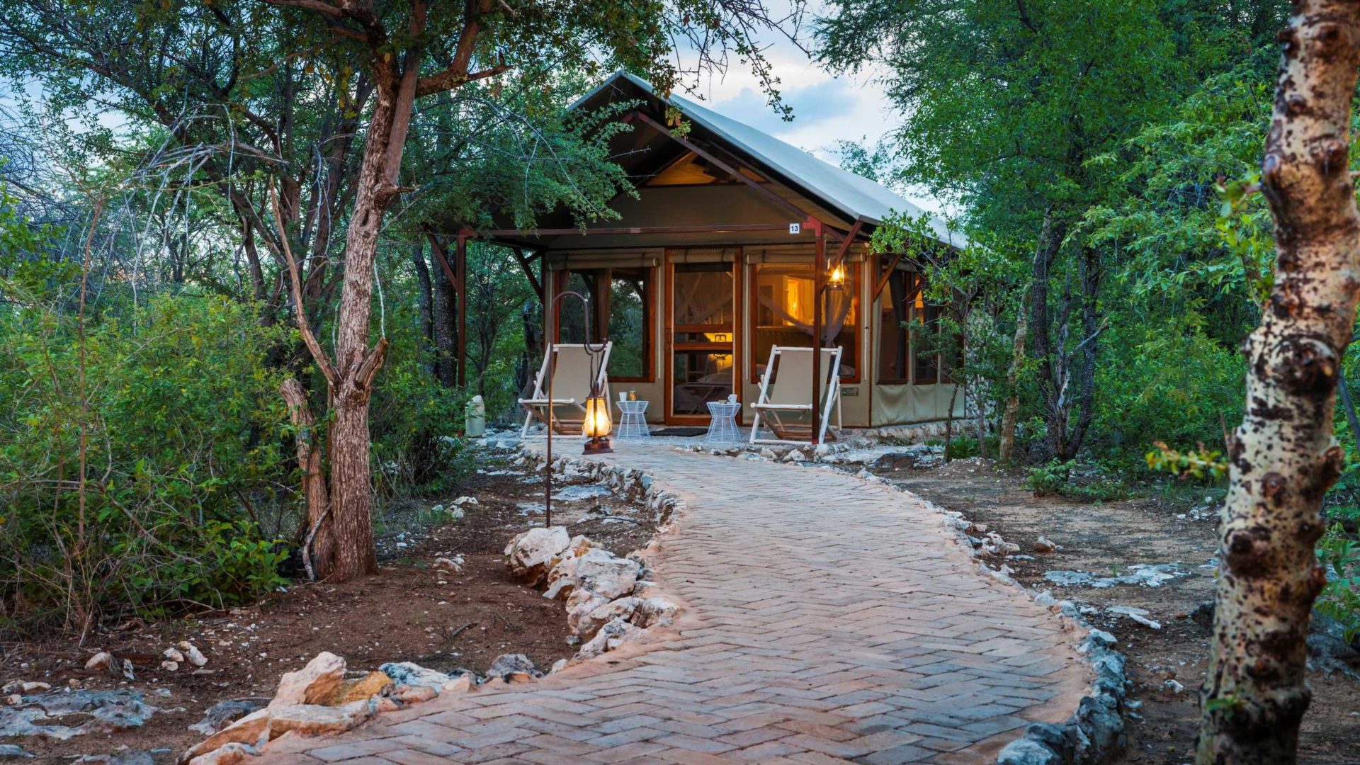 Namibia Etosha Mushara Bush Camp26