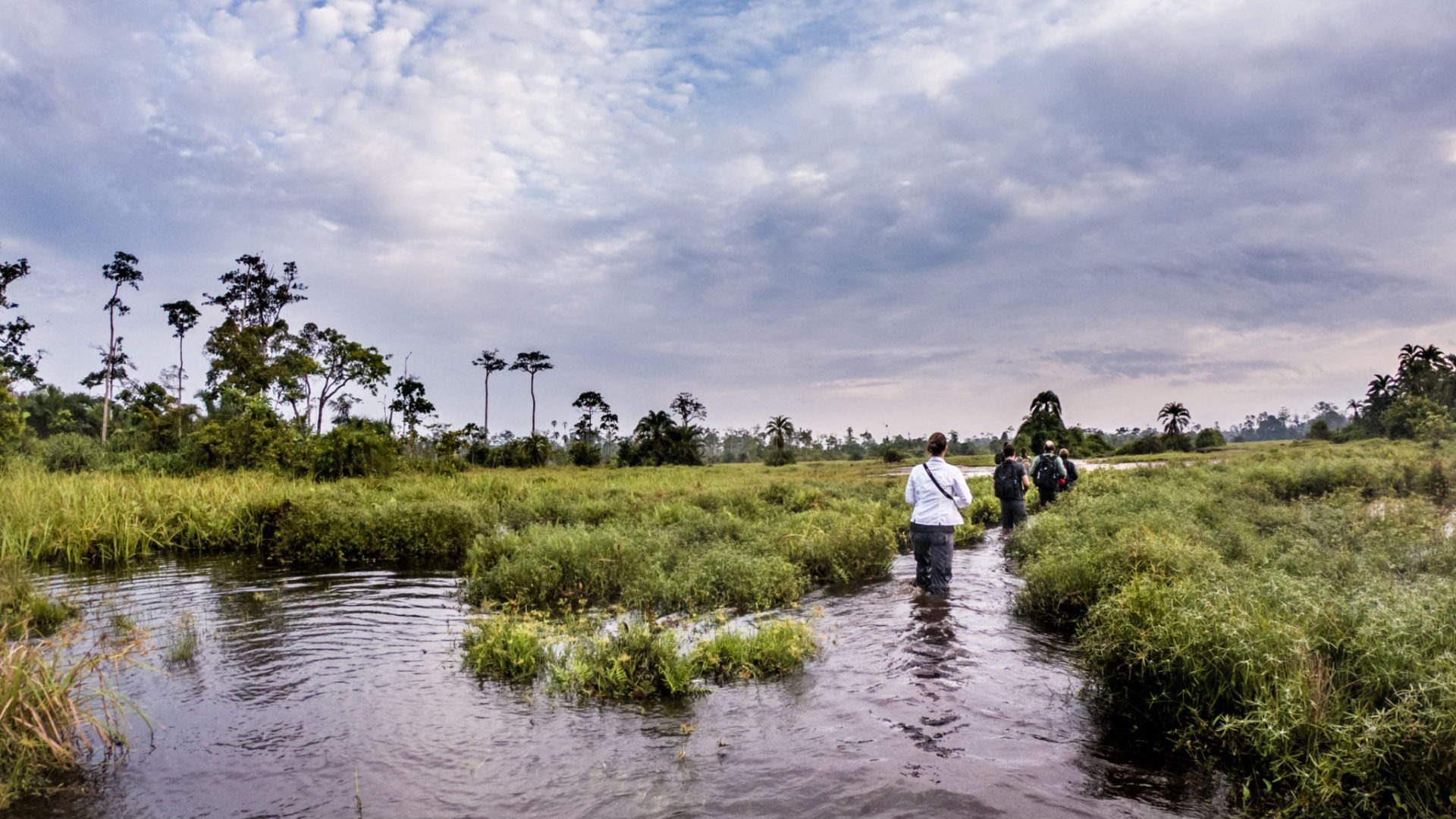 republic of congo odzala walking adventure 3