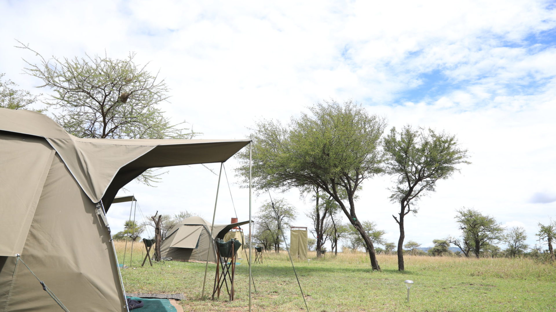 tanzania serengeti great migration camps safaris 19