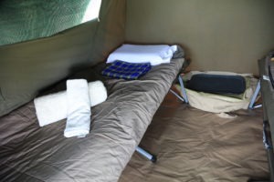 tanzania serengeti great migration camps safaris 20