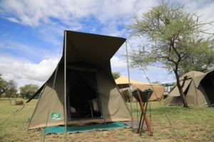 tanzania serengeti great migration camps safaris 21