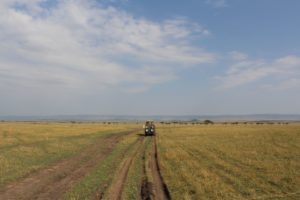 tanzania serengeti great migration camps safaris 32