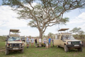 tanzania serengeti great migration camps safaris 4