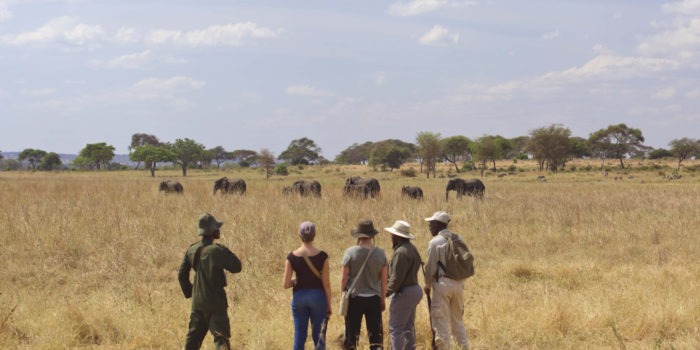 tanzania tarangire little olivers camp 16