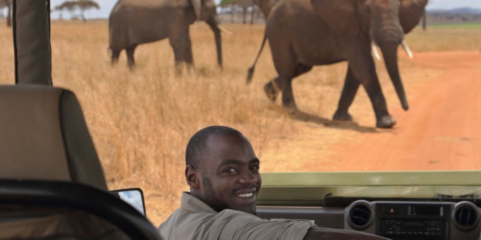 tanzania tarangire little olivers camp 8