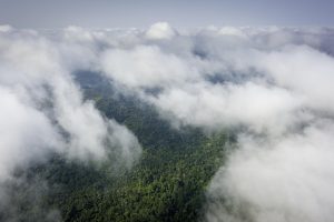Congo Mboko Lodge (11)