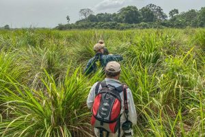 Congo Mboko Lodge (2)