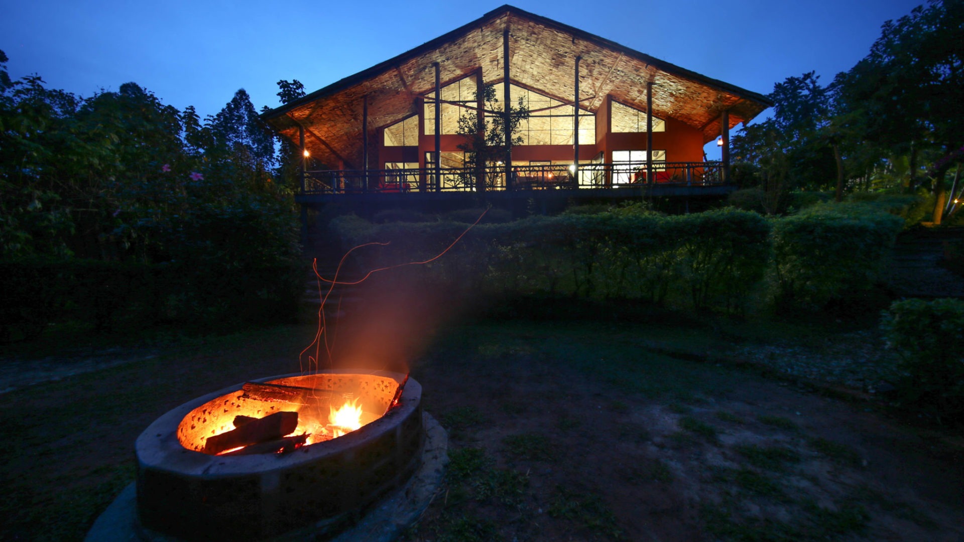uganda bwindi impenetrable forest mahogany springs 8