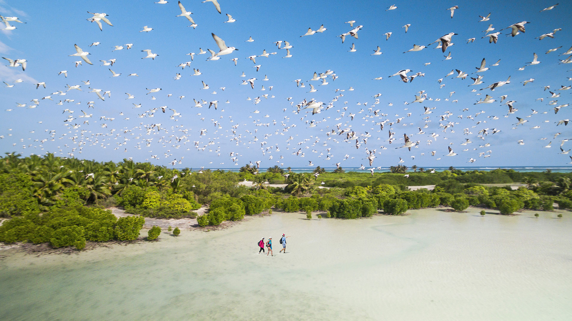 Seychelles outer islands Alphonse Island Resort activies land2