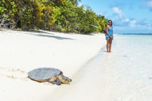 Seychelles outer islands Alphonse Island Resort activies land6