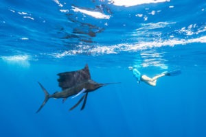 Seychelles outer islands Alphonse Island Resort activies ocean11