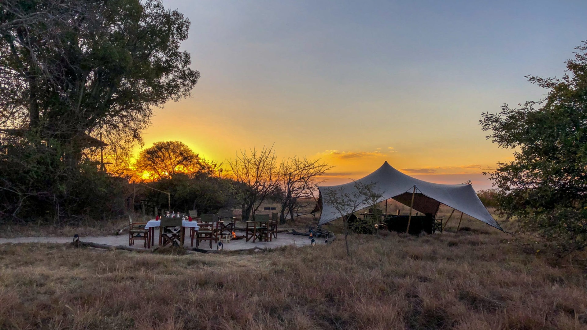 zambia kafue national park ntemwa busanga camp 14