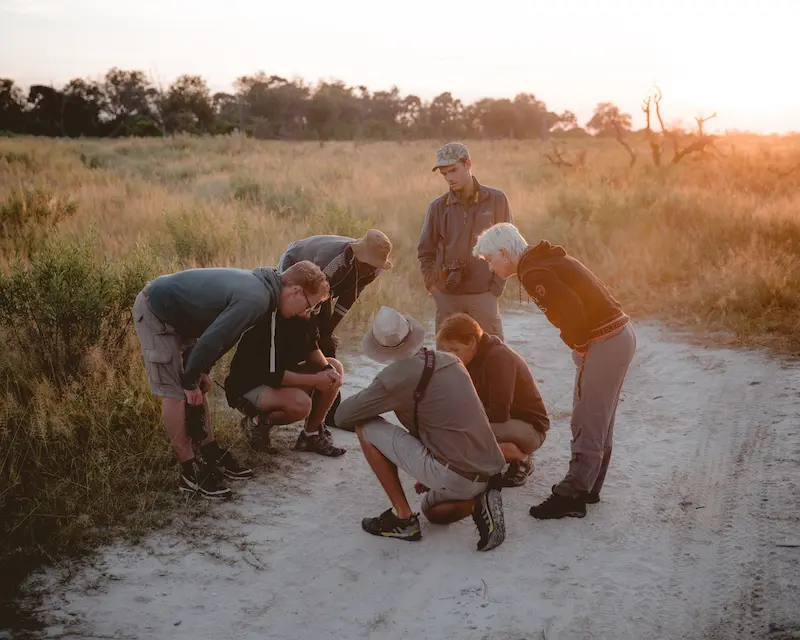 Safari Guide Training