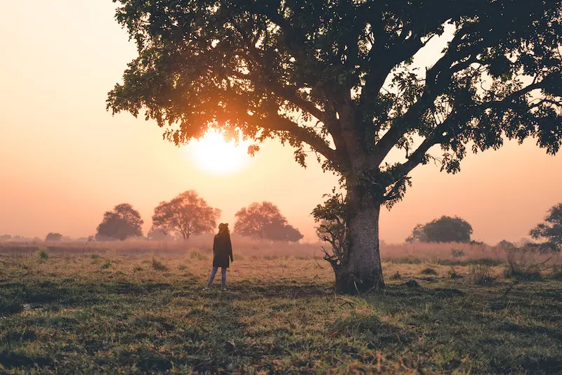 Solo Travellers