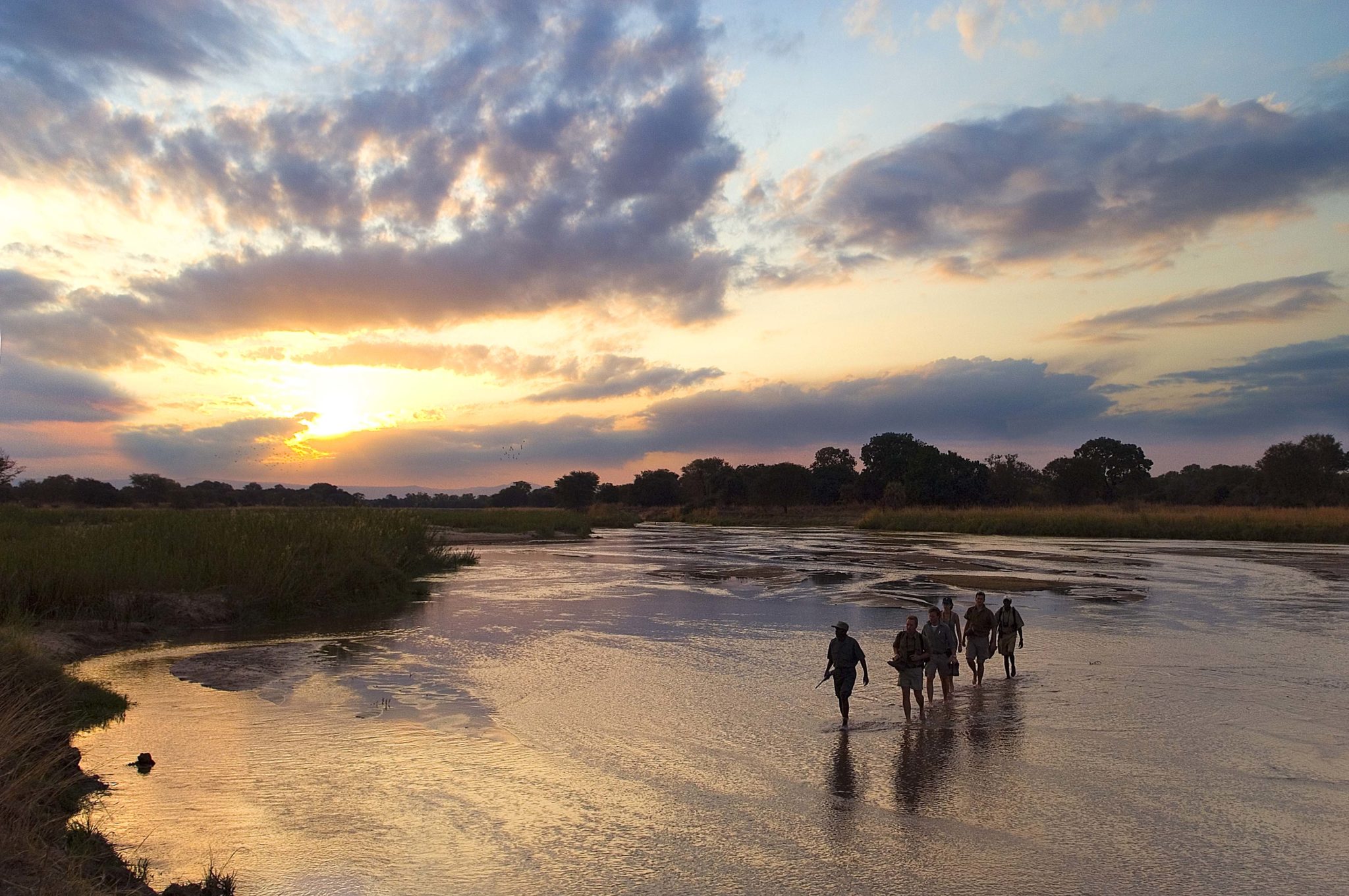zambia south luangwa national park mobile walking safaris 9 zambia south luangwa national park mobile walking safaris 9